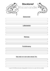 Salamander-Steckbriefvorlage-sw.pdf